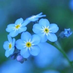 Meet your Posher, Kay